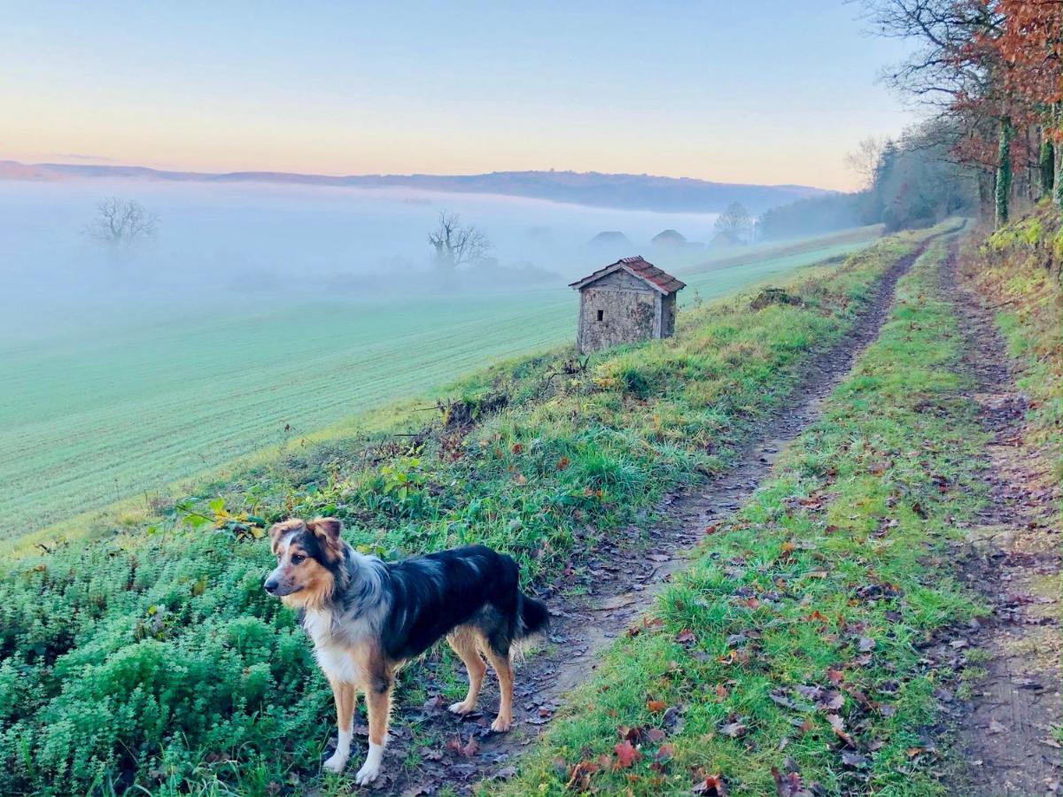 Montignac-Lascaux - Les Pierres D'Alexandre Exteriér fotografie